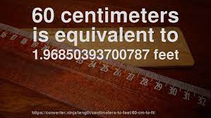 Can you show the process to calculate it? 60 Cm To Ft How Long Is 60 Centimeters In Feet Convert