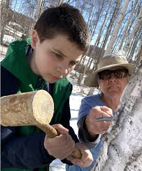 2025 Green-up Webinar (Dawe)