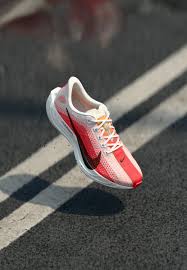 Nike Pegasus Plus
