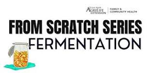 From Scratch Series: Fermentation