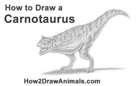 Please pause the how to draw a carnotaurus video after each step to draw at your own pace. How To Draw A Carnotaurus