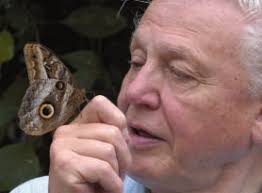 MARINE AND COASTAL ENTOMOLOGY