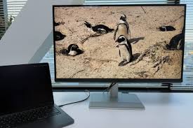 Image result for Computer Display