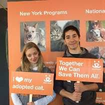 Common sources for adoptable pets are animal shelters and rescue groups. Best Friends Animal Society Office Photos Glassdoor