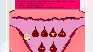 Soalan dan skema jawapan : Kitar Haid Youtube