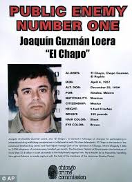 El Chapo Family Tree Google Search Chapo Guzman El Chapo Guzman El Chapo