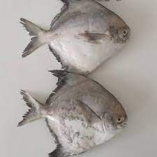 1.738 resep ikan bawal goreng ala rumahan yang mudah dan enak dari komunitas memasak terbesar dunia! Ikan Bawal Laut Shopee Indonesia
