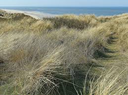 Weg Nach Oben Auf Der Himmelsleiter In Westerland Sylt Am 19 April 2018 Landschaftsfotos Eu