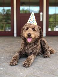 Help us wish “Morrow” a very...