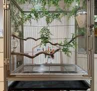 Custom Lightweight Aluminum Birds Cage Large with Artificial Tree and  Integrated Camera Premium Aviary with Feeder Accessories