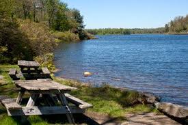 Pa Dcnr Ricketts Glen State Park State Parks Local Travel Beautiful Park