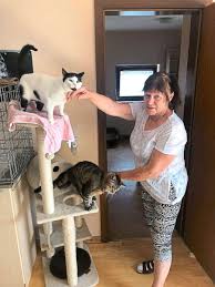 Das hilft nach dem umzug. Herbolzheim Katzen Mama Sucht Neues Zuhause Herbolzheim Lahrer Zeitung