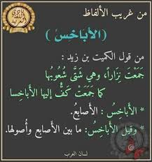 من غريب الألفاض الأباخس Arabic Words Words Arabic Calligraphy