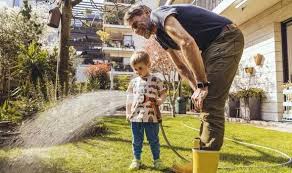 Check spelling or type a new query. How Often Should You Water Your Lawn In Hot Weather Express Co Uk