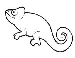 The first page has the species name with the drawing, and the second is left blank. Chameleon Coloring Page By Maggie S Art Room Teachers Pay Teachers