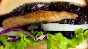 Why were insects never domesticated for food negative attitudes towards insects history. Edible Insects Lab Grown Meat The Real Future Food Is Lab Grown Insect Meat Science Research News Frontiers