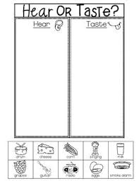 5 Senses Hearing Vs Taste Senses Preschool Preschool Learning Five Senses Preschool