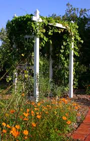 Buy plant support garden support rings stainless steel trellis supporter with 3 adjustable rings for climbing vegtables flowers fruit plant grow cage: 27 Garden Trellis And Lattice Ideas Wood Metal Home Stratosphere