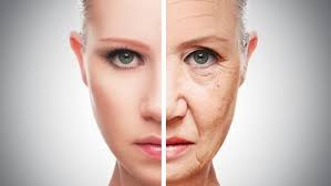Image result for WRINKLE FREE SKIN