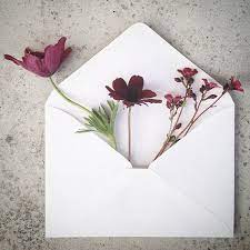 the envelope series 一封花寫的情書 你會這樣表白嗎 a day magazine flower quotes pretty flowers beautiful flowers