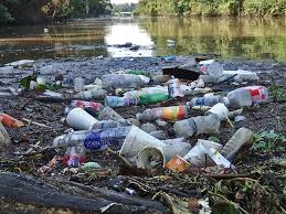 نتیجه جستجوی لغت [litter] در گوگل