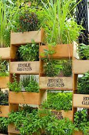 35 Creative Ways To Plant A Vertical Garden How To Make A Vertical Garden
