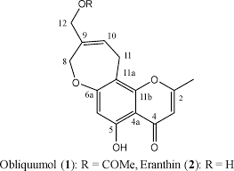 Image result for Ptaeroxylon obliquum