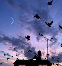 ليتنا مثل الطيور كلما ضاقت بنا الأرض تركناها ورحلنا إلى عالم آخر