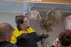 Live Owl Program