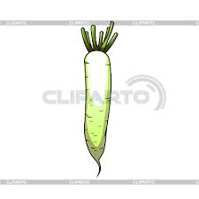 There are also many more found in the book. Radish Stock Photos And Vektor Eps Clipart Cliparto