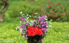 نتیجه تصویری برای گل های زیبا