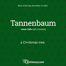 Tannenbaum A Beautiful Word For A Beautiful Tree From Nature This Word Has German Origins Entering English In The Late Uncommon Words Weird Words Cool Words