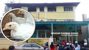 Taman danau kota 3.7 km. Sang Nenek Bermimpi Diberi 3 Ayam Putih Keesokannya Terjadi Sesuatu Yang Mengejutkan Pada Hidupnya Halaman 2 Tribun Sumsel