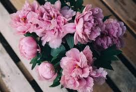 Maybe you would like to learn more about one of these? The 15 Most Popular Wedding Flowers Gibral Flora Flowers