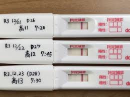 妊活4周期 D28 高温期13日目 フライング(陰性から陽性？) | 私は今日も生きています