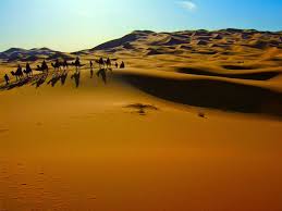 Silsilah dan biodata lengkap 25 nabi dan rasul dari adam as sampai muhammad saw. Berapa Jumlah Nabi Dan Rosul Allah Ø¨ Ø³ Ù… Ø§Ù„Ù„ Ù‡ Ø§Ù„Ø± Ø­ Ù… Ù† Ø§Ù„Ø± Ø­ ÙŠ Ù…