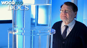 Последние твиты от luc montagnier (@hivsweg). Water Memory 2014 Documentary About Nobel Prize Laureate Luc Montagnier Youtube