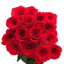 We did not find results for: Buy Globalrose 50 Fresh Cut Red Roses Fresh Flower Delivery Online In Taiwan B00wt5u9i2