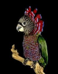 Loro Cacique O Hawk Head Pet Birds Pretty Birds Beautiful Birds