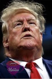 President Trump: I'm the greatest business man that you know. I have  steaks, hotels, sheets, I have everything. Obama, Biden, Kamala, none of  them have any products. Their products are trash! Trump