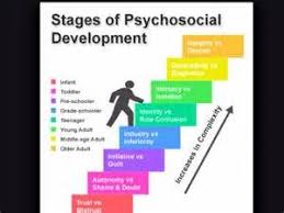 Erikson 39 S Eight Stages Of Development Yahoo Search Results Stages Of Psychosocial Development Psychology Social Work