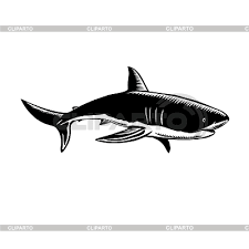 Download or print for free immediately from the site. Shark Stock Photos And Vektor Eps Clipart Cliparto 4