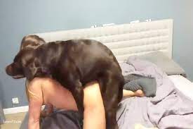 Teen fucks dog on webcam