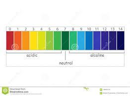 Ph Scale Value Stock Vector Illustration Of Analysis