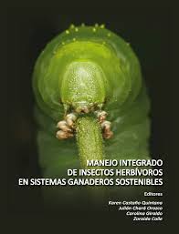 El vuelo nupcial de las atta se da generalmente al comienzo de la época de las lluvias. Pdf Revision De La Biologia Y Metodos De Control De La Hormiga Arriera Atta Cephalotes Hymenoptera Myrmicinae