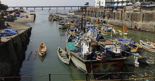 Monsoon Fishing Ban Imposed In Palghar From June 1 To July 31, 2026