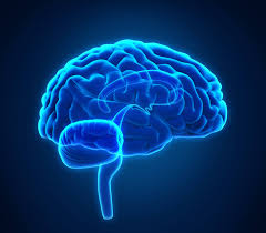 Olive Oil Benefits For Your Heart Brain And More Dr Axe Lemon Health Benefits Coconut Health Benefits Benefits Of Coconut Oil