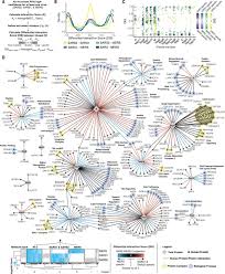 Baixa nova música de kiambote ft. Comparative Host Coronavirus Protein Interaction Networks Reveal Pan Viral Disease Mechanisms Science