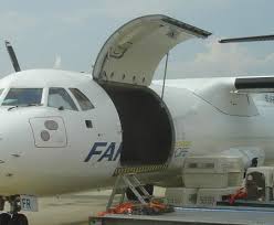 15 years of experience in pet transportation. Gradlyn Petshipping The Animal Travel Agency