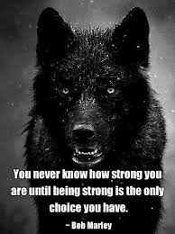 Maybe you would like to learn more about one of these? Wise Wolf Quotes Quotesgram